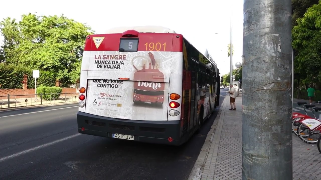 TUSSAM 1901 | MAN NL313F GNC Castrosúa City Versus | Avenida Eduardo Dato