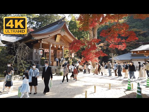 Homangu Kamado Shrine Video