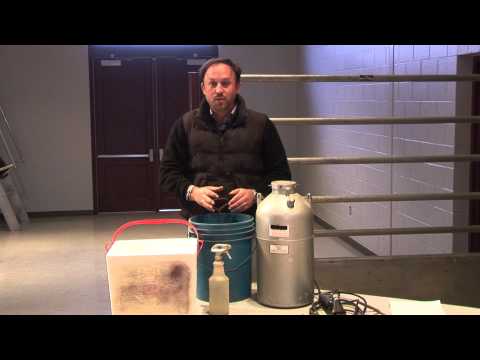 Paul Maulsby - Branding - Liquid Nitrogen Dry Ice and Freeze Branding