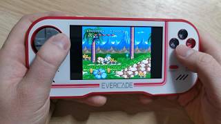 Joe & Mac 2: Lost in the Tropics - Evercade - Data East Collection 1 Cartridge