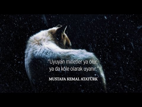 BÖRÜ | Müzik Tanıtım