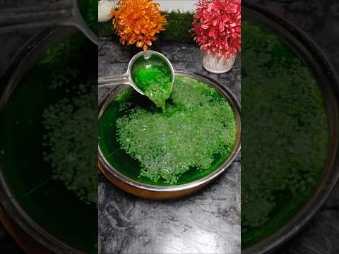 Refreshing Mint Drink Recipe