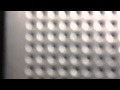 The Bird Brains Theme Song