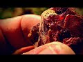 Hunting Aussie Agates, Jaspers, Petrified Wood & Zeolites