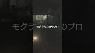バイオハザードre2編　さくらとかのんの掛け合いその16　#バイオハザード　#バイオハザードre2 #BIOHAZARD　#ホラゲ　#ホラーゲーム　#ゲーム実況