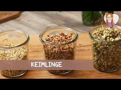 🌱💧Keimlinge - Anleitung: So züchtest du deine eigenen Sprossen selbst | vegan basisch