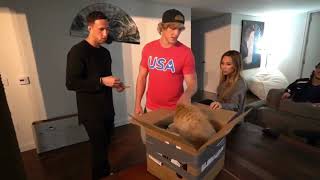 Ayla Woodruff And Logan Paul Moments! ( Pranks,Funny,Cute,And Scary Moments)