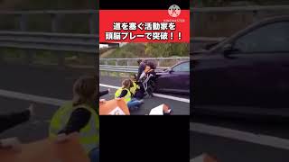 環境活動家をぶちのめす!!脳みそフル回転アタック#政治 #外国人  #car  #バトル #勇気 #福山雅治 #柴咲コウ