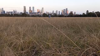 Royal Park at Dusk - Keren Maina