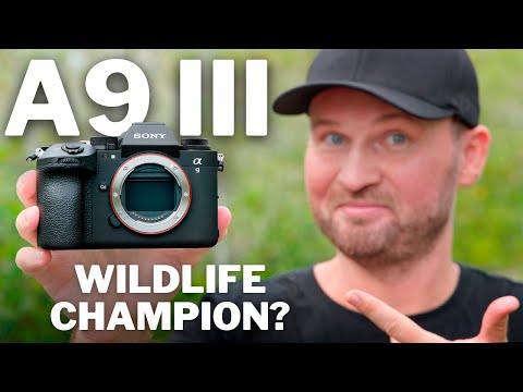 Sony A9 III For Wildlife: The GOOD, The BAD & The SURPRISING!