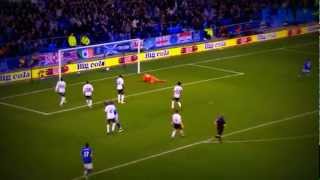 Jelavic und seine Treffer in der Saison 2011/12 für Everton