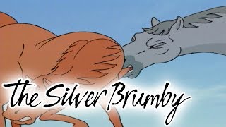 The Silver Brumby - Episode 1 | Arrow Is Cornered | HD | Full Episode | Videos For Kids 