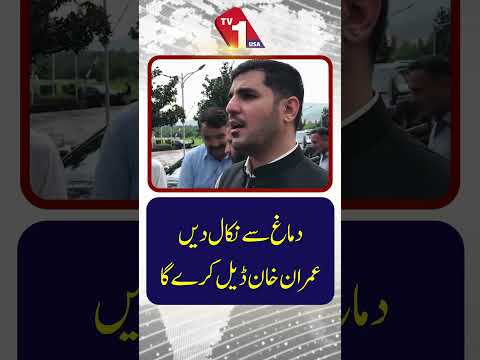 اسے بھول جائیں، عمران خان کوئی سمجھوتہ نہیں کریں گے۔