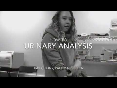 Urinary Analysis How To Video
