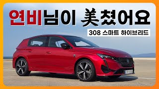 광형의 환카 푸조 308