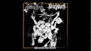 Nadiwrath - Succubus of all Vices (deathspell omega)