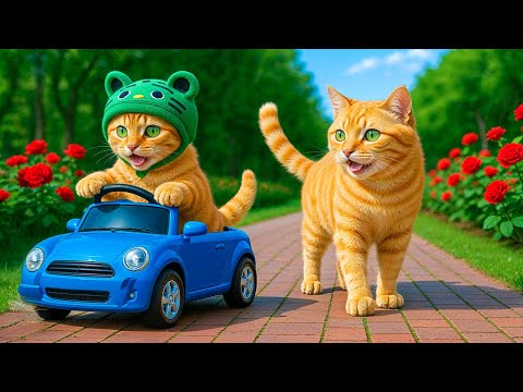 Mama Cat and Kitten Rebuild Damaged Road to Keep Everyone Safe 🐱👷‍♀️🐾 | Heartwarming Healing Story