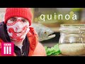 Unseen Extra - The Trout Saves The World: Quinoa | Blindboy Undestroys The World