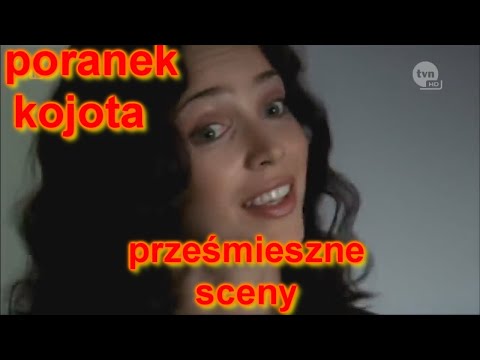 Poranek Kojota Najlepsze Sceny