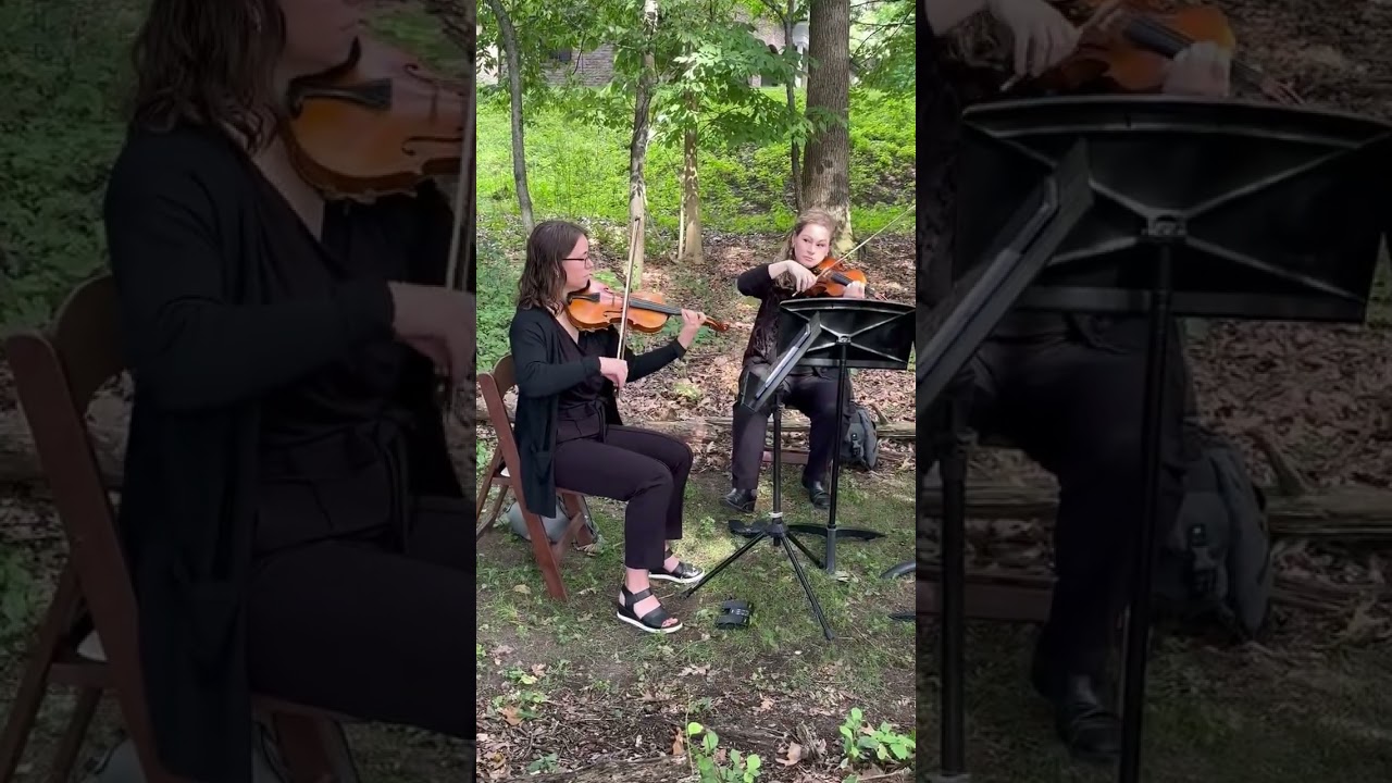 Promotional video thumbnail 3 for Forrest Strings