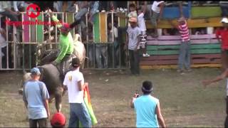 preview picture of video 'Corrida de toros en Nagarote 03 Nov 2013'