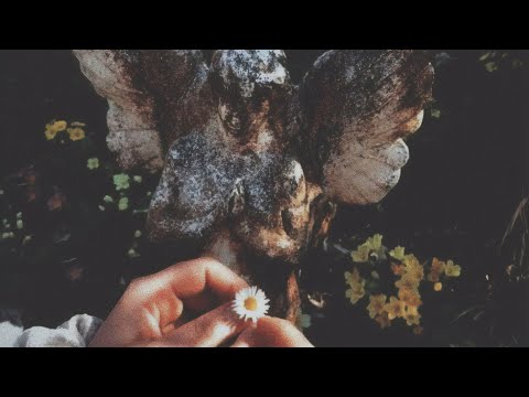 Zubi, Utterfly - no need [official audio]