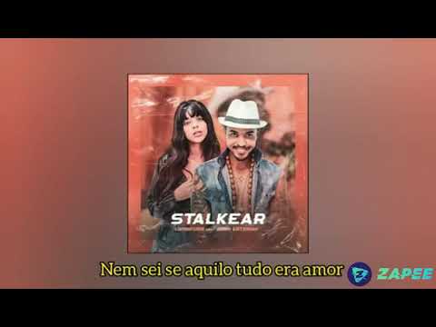 Lambasaia . Anna catarina- stalkear