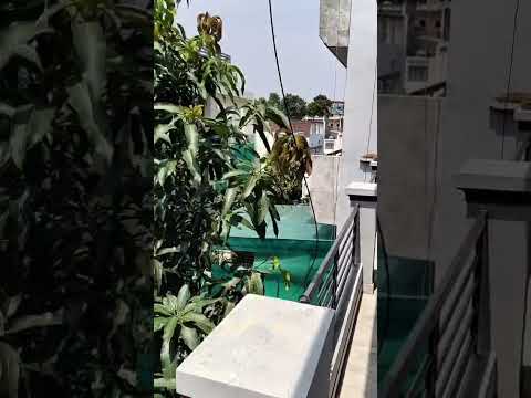 Video tour