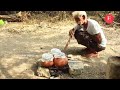 Sankranthi Special Pot Biryani By Grandpa Easy Chicken Biryani Matka Biryani Foodinfo