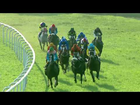 EFFICACY : THE GOMOS PLATE (14)