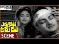 Errakota Veerudu Movie Emotional About Savitri Saves NTR Life NTR Savitri Shalimarcinema