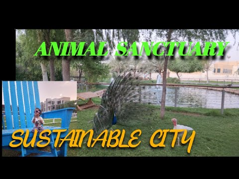 Animal Sanctuary l Sustainable City l Dubai