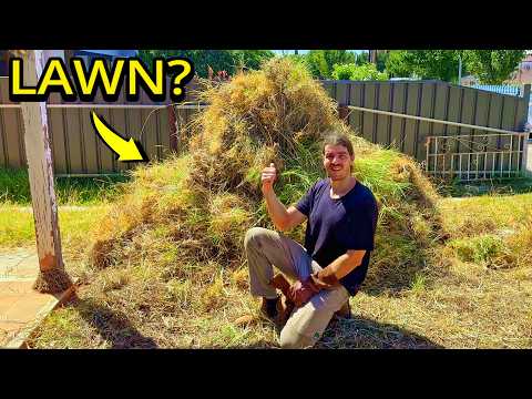 After 10 Years, This Yard Nearly Swallowed His ENTIRE Home!