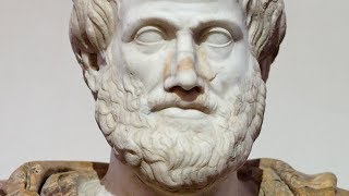 Rise of the City: The Greek Polis: Imagining the Ideal City