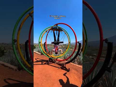 360 human gyro spinner! #shorts