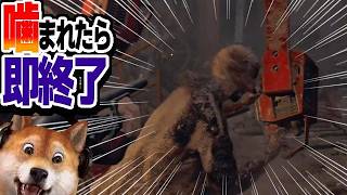 噛まれたら即終了 バイオハザードRE:4 / part424