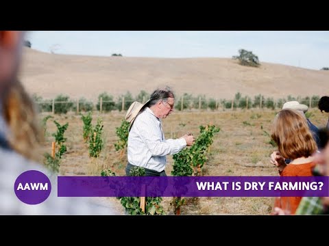 What is dry farming? Randall Grahm explains