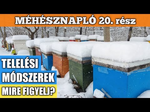 , title : 'Méhésznapló #20 - Méhek teleltetése'