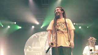 Gondwana   Sentimiento Original + Irie Live at Jamming Festival 2017