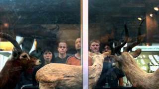 Flotation Toy Warning - Losing Carolina; For Drusky