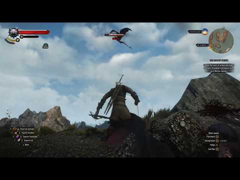 The Witcher 3: Wild Hunt Part 277 (Yennefer, Roche Import, Blood and Broken Bones)