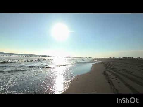 PUERTO SAN JOSÉ, ESCUINTLA, GUATEMALA 🇬🇹🌎