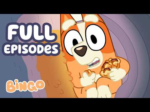 It's Baby Bingo! 👶🧡 | Funny Baby Filled Full Episodes | Bingo - Official Channel