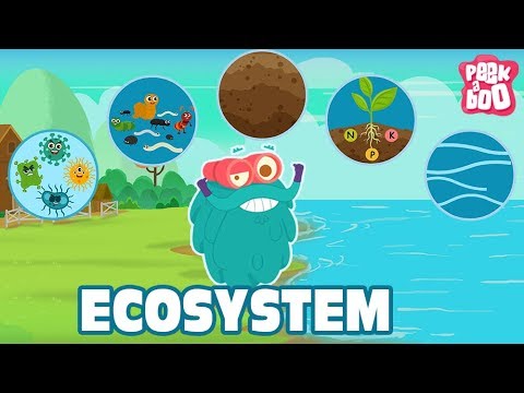 Science - Ecosystems