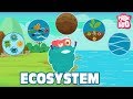 ECOSYSTEM - The Dr. Binocs Show | Best Learning Videos For Kids | Peekaboo Kidz
