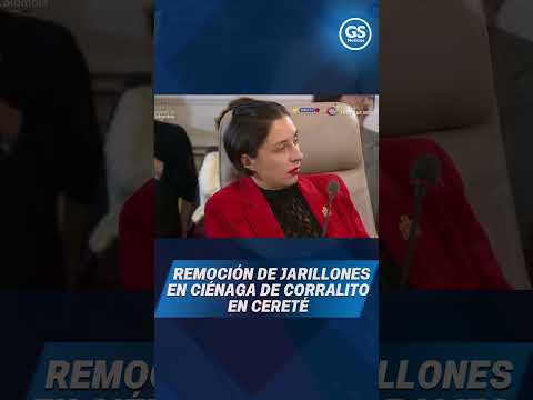 Inicia remoción de jarillones en Ciénaga de Corralito en Cereté