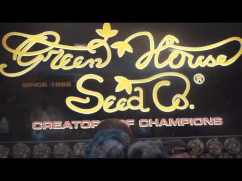 Project Aquarius Episode 3: 2055 Europe Experience 1