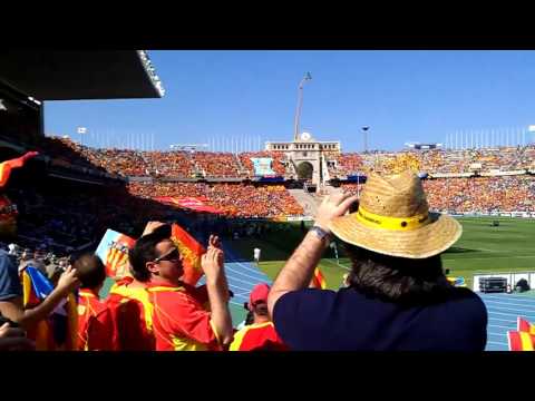 L'estaca al partit de l'USAP
