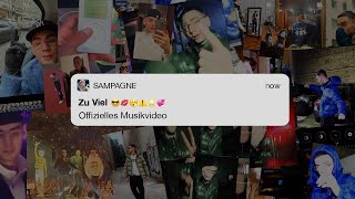 Zu Viel Lyrics English Translation