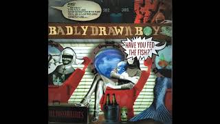 Badly Drawn Boy - The Further I Slide